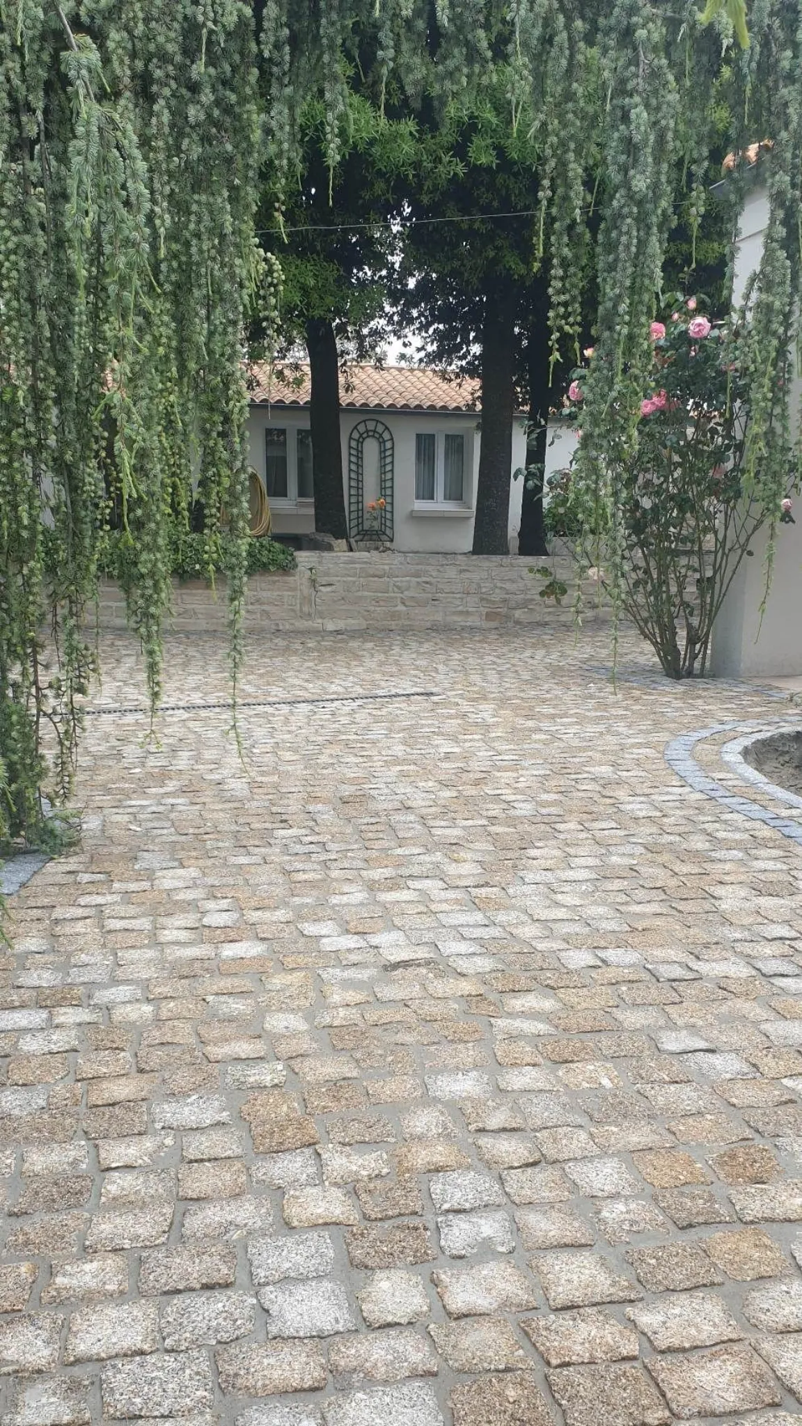 Allée en pavé granit doré bordée de rosiers menant à une maison